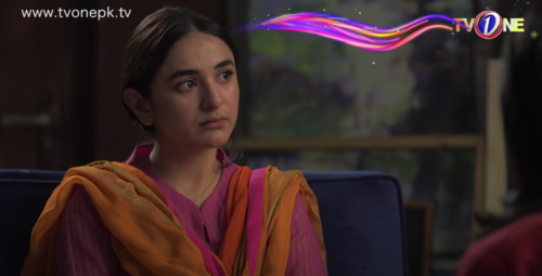 Dil Na Umeed Toh Nahi: The Plot Thickens as the Drama Reaches its Climax!