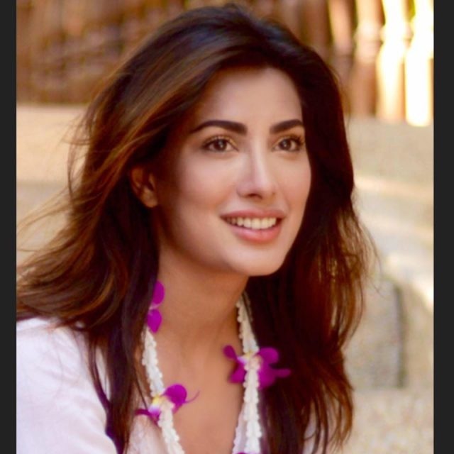 Mehwish Hayat Named Goodwill Ambassador - HIP