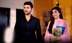 'Mere Ajnabi'  has yet to show Urwa-Farhan's sizzling chemistry