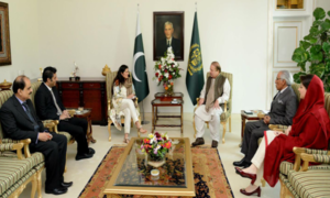 Nawaz Sharif and Sharmeen Obaid-Chinoy meet to discuss honor killings
