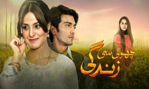 HUM TV's Choti Si Zindagi replaces Zara Yaad Kar