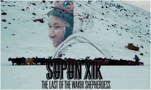 Another Pakistani Short Film honored on International Platforms