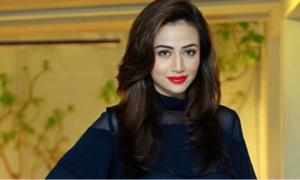 Sana Javed speaks to HIP about 'Mehrunisa V Lub U' and turning back to television