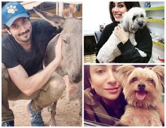 Pakistani Celebrities are Speaking Up in Favour of Animal Rights