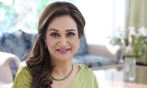 Bushra Ansari Thrilled with the Response her Indo-Pak Conflict Video is Receiving