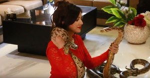 Rabi Pirzada Faces Jail Time for Posing with Reptiles