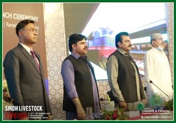 The Second Edition of Sindh Livestock Expo 21’ is underway!