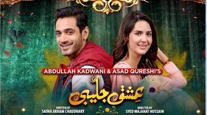 Ishq Jalebi: Basim and Bela's Love Story Faces a Major Hurdle!