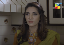 Yaar Na Bichray: Audiences are Loving Zhalay Sarhadi's Fiery Avatar!