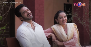 Dil Na Umeed Toh Nahi Finale: The Happily Ever After We All Wanted!
